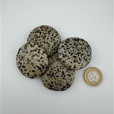 Dalmation Jasper Palm Stone