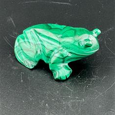 Malachite Frog